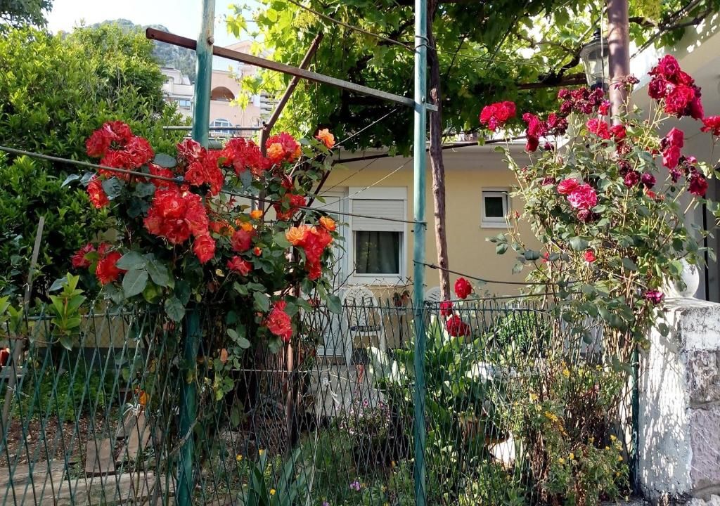 Апартаменты Apartman Lora Будва-23