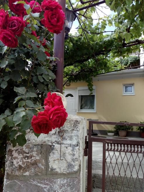 Апартаменты Apartman Lora Будва-33