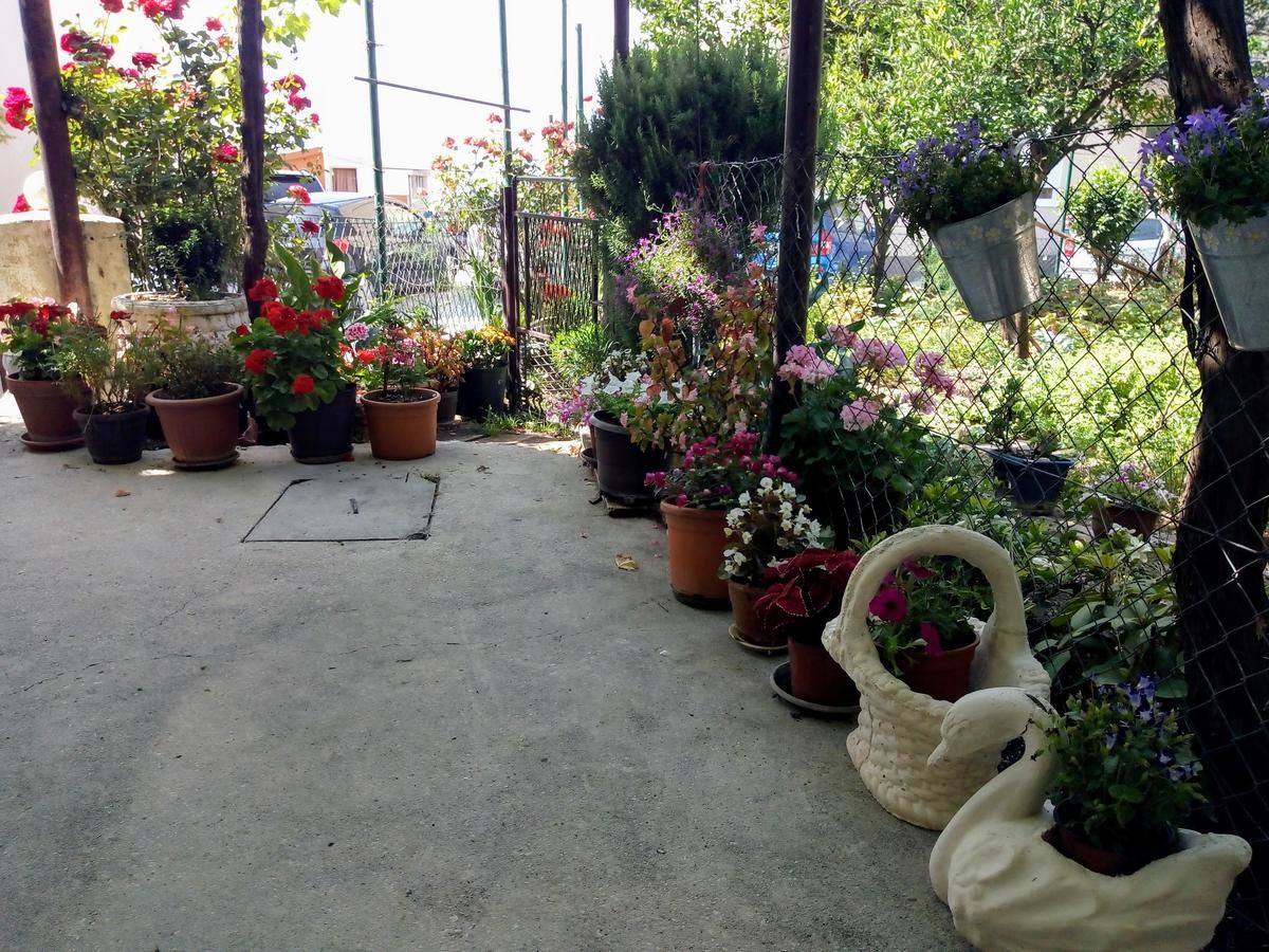 Апартаменты Apartman Lora Будва-9