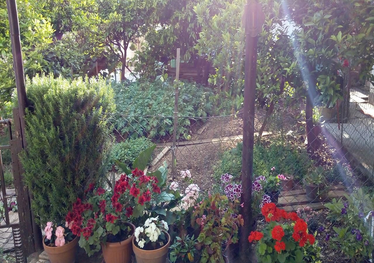 Апартаменты Apartman Lora Будва-12