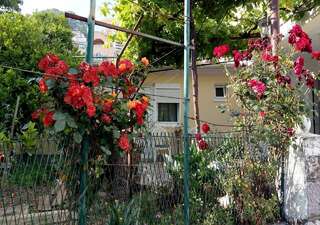 Апартаменты Apartman Lora Будва Апартаменты-10