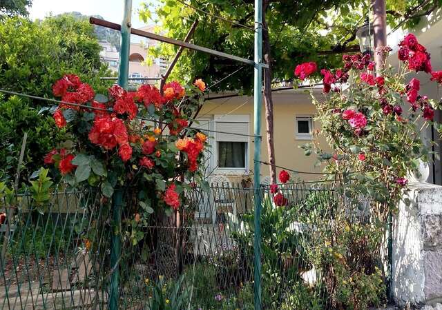 Апартаменты Apartman Lora Будва-12