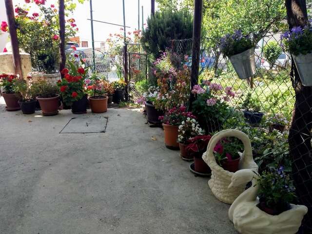 Апартаменты Apartman Lora Будва-8