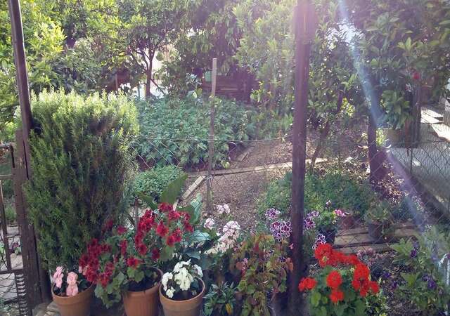 Апартаменты Apartman Lora Будва-11